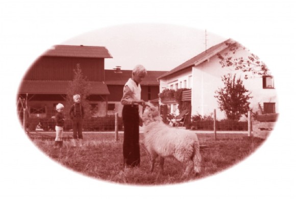 Des erste Schaf